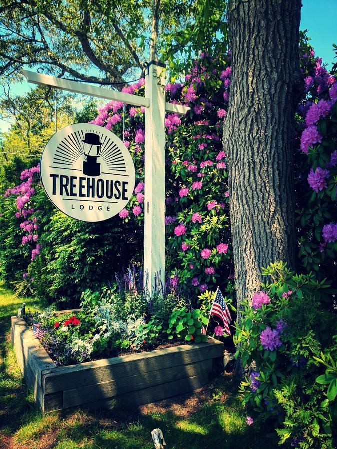 Treehouse Lodge Удс Хоул Екстериор снимка